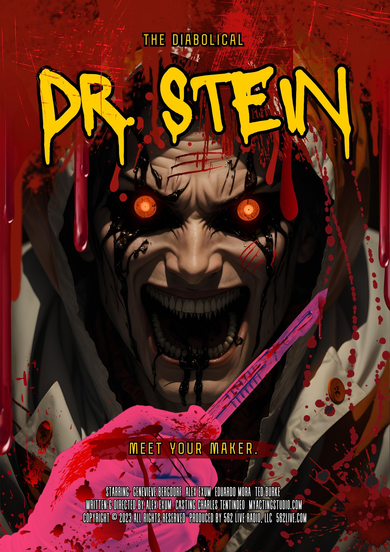 Dr. Stein poster